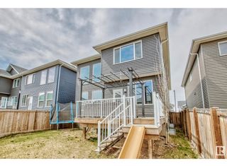 Photo 18: 3858 Robins Crescent in Edmonton: Starling at Big Lake House for rent