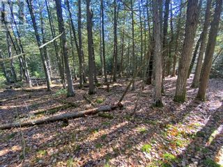 Photo 21: 5 Sandy Point in Manitowaning: Vacant Land for sale : MLS®# 2112426
