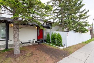 Photo 1: 95 Castleridge Close NE in Calgary: Castleridge Detached for sale : MLS®# A2141507