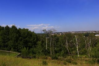 Photo 6: 90 Springborough Green SW in Calgary: Springbank Hill Residential Land for sale : MLS®# A1229697