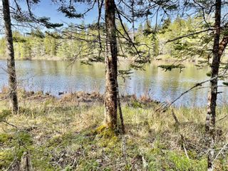 Photo 5: Lot 3 Pigott Lake Road in Lakelands: 105-East Hants/Colchester West Vacant Land for sale (Halifax-Dartmouth)  : MLS®# 202401315