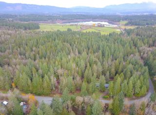 Photo 61: 5001 Sharon Dr in Port Alberni: PA Sproat Lake House for sale : MLS®# 953893