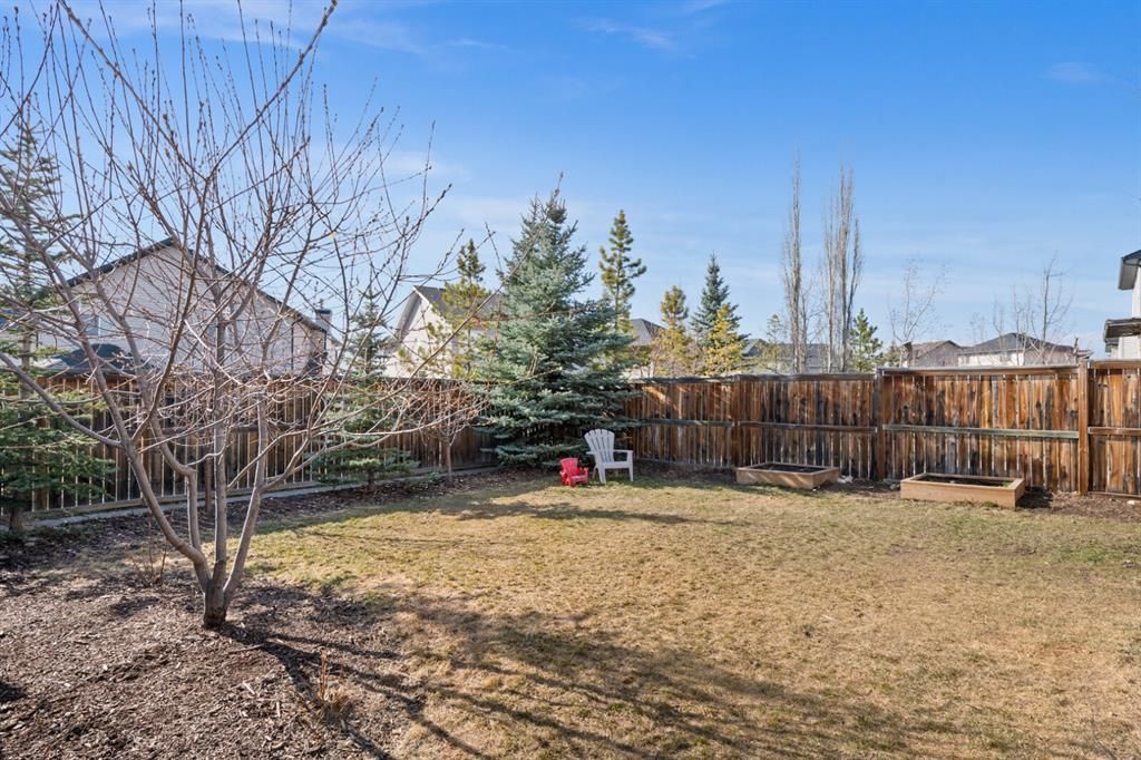 Photo 30: Photos: 46 Royal Birch Terrace NW in Calgary: Royal Oak Detached for sale : MLS®# A1210591