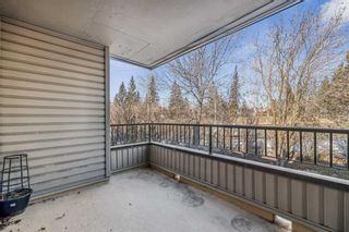 Photo 14: 203 2425 90 Avenue SW in Calgary: Palliser Apartment for sale : MLS®# A2126388