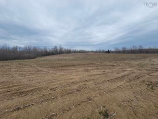 Photo 4: 60 acres Glen East Road in Central Caribou: 108-Rural Pictou County Vacant Land for sale (Northern Region)  : MLS®# 202407757