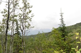 Photo 9: DL 1335A 37 Highway: Kitwanga Land for sale (Smithers And Area (Zone 54))  : MLS®# R2471833