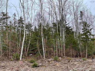 Photo 2: Lot Glen East Road in Bay View: 108-Rural Pictou County Vacant Land for sale (Northern Region)  : MLS®# 202306524