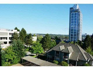 Photo 13: 503 4425 HALIFAX Street in Burnaby: Brentwood Park Condo for sale in "POLARIS" (Burnaby North)  : MLS®# V1074520