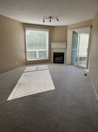Photo 3: 302, 75 Gervais Road in St. Albert: Condo for rent