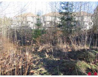 Photo 2: # 2.2AC SUMAS WY in Abbotsford: Central Abbotsford Land for sale : MLS®# F2618662