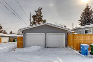 Photo 43: 11008 Southdale Road SW in Calgary: Southwood Detached for sale : MLS®# A2029195
