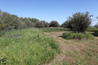 Photo 6: SE1/4 30-19-28-W4: Rural Foothills County Residential Land for sale : MLS®# A1140505