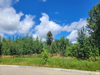 Photo 5: 4112 50 Avenue: Drayton Valley Vacant Lot/Land for sale : MLS®# E4307806