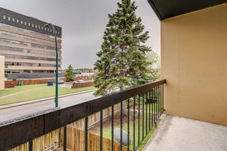 Photo 29: 212 7007 4A Street SW in Calgary: Kingsland Apartment for sale : MLS®# A1112502