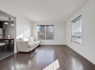 Photo 10: 23 Bedford Road NE in Calgary: Beddington Heights Detached for sale : MLS®# A2013329