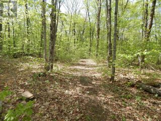 Photo 1: 92 LORIMER LAKE RD in McDougall: Vacant Land for sale : MLS®# X5880073