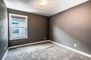 Photo 33: 228 Evansview Road NW in Calgary: Evanston Detached for sale : MLS®# A2055674