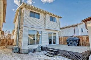 Photo 45: 307 Abinger Crescent NE in Calgary: Abbeydale Detached for sale : MLS®# A2035191