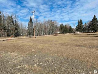 Photo 1: 5433 52 Street: Thorsby Vacant Lot/Land for sale : MLS®# E4328148
