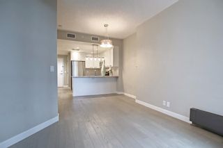 Photo 25: 509 225 11 Avenue SE in Calgary: Beltline Apartment for sale : MLS®# A1165469