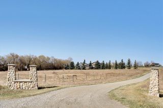 Photo 3: 290153 96 Street E: Rural Foothills County Detached for sale : MLS®# C4223460