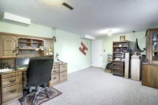 Photo 33: 7011 HUNTERVILLE Road NW in Calgary: Huntington Hills Semi Detached for sale : MLS®# A1035276
