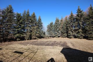 Photo 39: 55104 RGE RD 255: Rural Sturgeon County House for sale : MLS®# E4381092