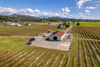 Photo 6: 34659 TOWNSHIPLINE Road in Abbotsford: Matsqui Agri-Business for sale : MLS®# C8057829