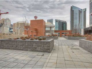 Photo 16: 2202 211 13 Avenue SE in Calgary: Victoria Park Condo for sale : MLS®# C3654066