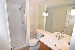 Photo 24: 340 22 Richard Place SW in Calgary: Lincoln Park Apartment for sale : MLS®# A2117351