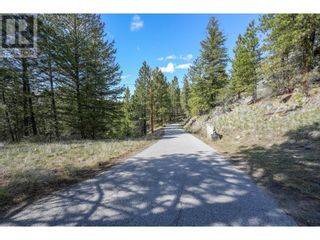 Photo 23: 222 Grizzly Place in Osoyoos: Vacant Land for sale : MLS®# 10310334