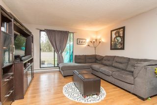 Photo 15: 103 9150 SATURNA Drive in Burnaby: Simon Fraser Hills Townhouse for sale in "Mountainwood" (Burnaby North)  : MLS®# R2541490