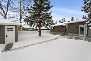 Photo 37: 8627 48 Avenue NW in Calgary: Bowness Detached for sale : MLS®# A2008658