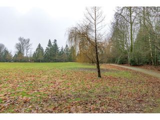 Photo 32: 10568 BIRCHTREE Grove in Surrey: Fraser Heights House for sale (North Surrey)  : MLS®# R2643960