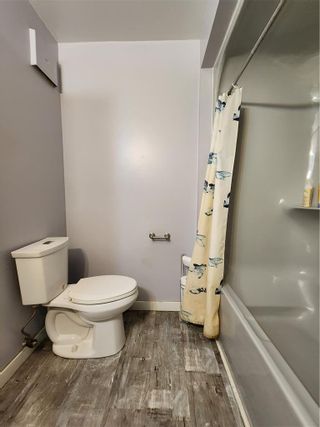Photo 10: 54 Birch Street in Grunthal: House for sale : MLS®# 202313689