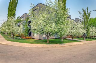 Photo 28: 209 1939 30 Street SW in Calgary: Killarney/Glengarry Apartment for sale : MLS®# A2051209