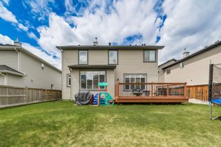 Photo 31: 224 Hawkmere View: Chestermere Detached for sale : MLS®# A2132864