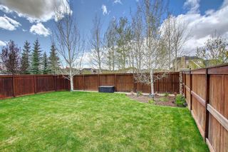 Photo 49: 21 Cranbrook Place SE in Calgary: Cranston Detached for sale : MLS®# A1219655