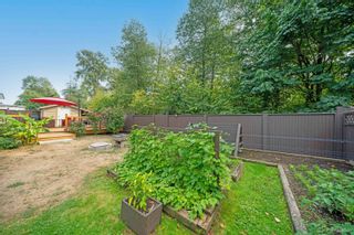 Photo 33: 16662 102 Avenue in Surrey: Fraser Heights House for sale (North Surrey)  : MLS®# R2872202