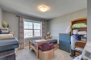Photo 22: 503 428 Nolan Hill Drive NW in Calgary: Nolan Hill Row/Townhouse for sale : MLS®# A2130682