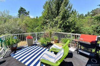 Photo 22: 3734 Epsom Dr in VICTORIA: SE Cedar Hill House for sale (Saanich East)  : MLS®# 817100