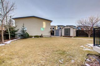 Photo 46: 95 Coville Close NE in Calgary: Coventry Hills Detached for sale : MLS®# A1175520