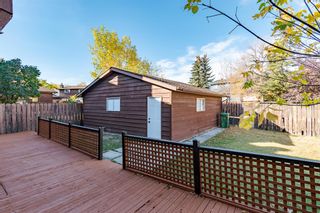 Photo 24: 455 Templeton Road NE in Calgary: Temple Detached for sale : MLS®# A2047386