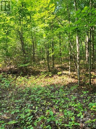 Photo 13: BRITON HOUGHTON BAY ROAD in Portland: Vacant Land for sale : MLS®# 1312442