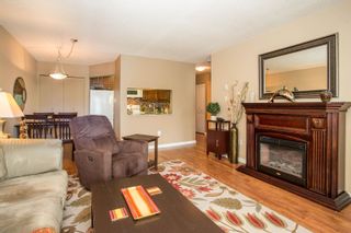 Photo 5: 310 1190 PACIFIC Street in Coquitlam: North Coquitlam Condo for sale in "PACIFIC GLEN" : MLS®# R2678495