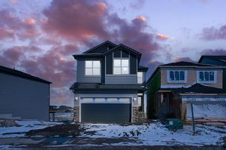 Photo 4: 28 Cornerbrook Cove NE in Calgary: Cornerstone Detached for sale : MLS®# A2051748