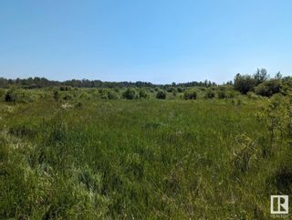 Photo 17: RR 204 HWY 661: Rural Thorhild County Vacant Lot/Land for sale : MLS®# E4369773