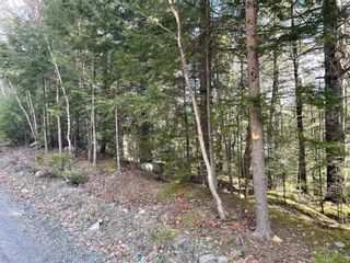 Photo 1: Lot 17 Tri Lake Drive in Labelle: 406-Queens County Vacant Land for sale (South Shore)  : MLS®# 202204775