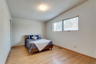 Photo 23: 1220 MAPLEGLADE Place SE in Calgary: Maple Ridge Detached for sale : MLS®# C4277925