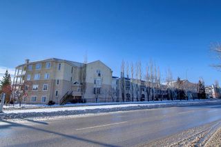Photo 50: 313 5201 Dalhousie Drive NW in Calgary: Dalhousie Apartment for sale : MLS®# A1169567
